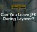 Can You Leave JFK During Layover?